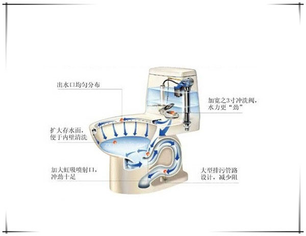 虹吸式马桶内部结构图解析